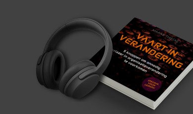 Vaart in organisatieverandering